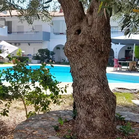 Niriides Pool House